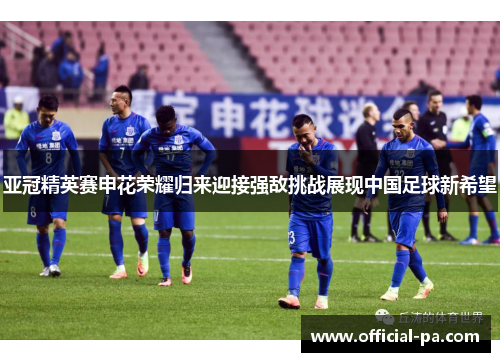 亚冠精英赛申花荣耀归来迎接强敌挑战展现中国足球新希望 亚冠精英赛申花荣耀归来迎接强敌挑战展现中国足球新希望