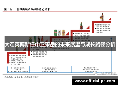 大连英博新任中卫宋岳的未来展望与成长路径分析