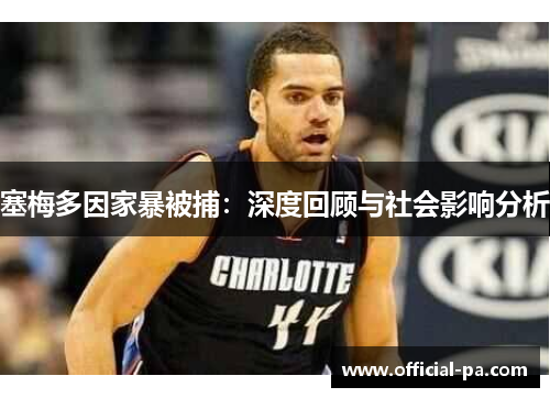 塞梅多因家暴被捕：深度回顾与社会影响分析