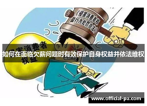 如何在面临欠薪问题时有效保护自身权益并依法维权