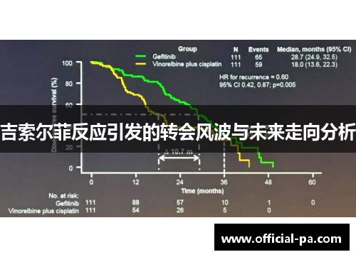 吉索尔菲反应引发的转会风波与未来走向分析