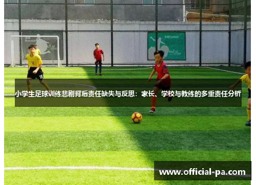 小学生足球训练悲剧背后责任缺失与反思：家长、学校与教练的多重责任分析