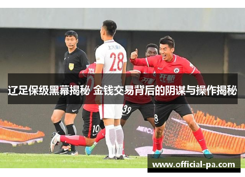 辽足保级黑幕揭秘 金钱交易背后的阴谋与操作揭秘